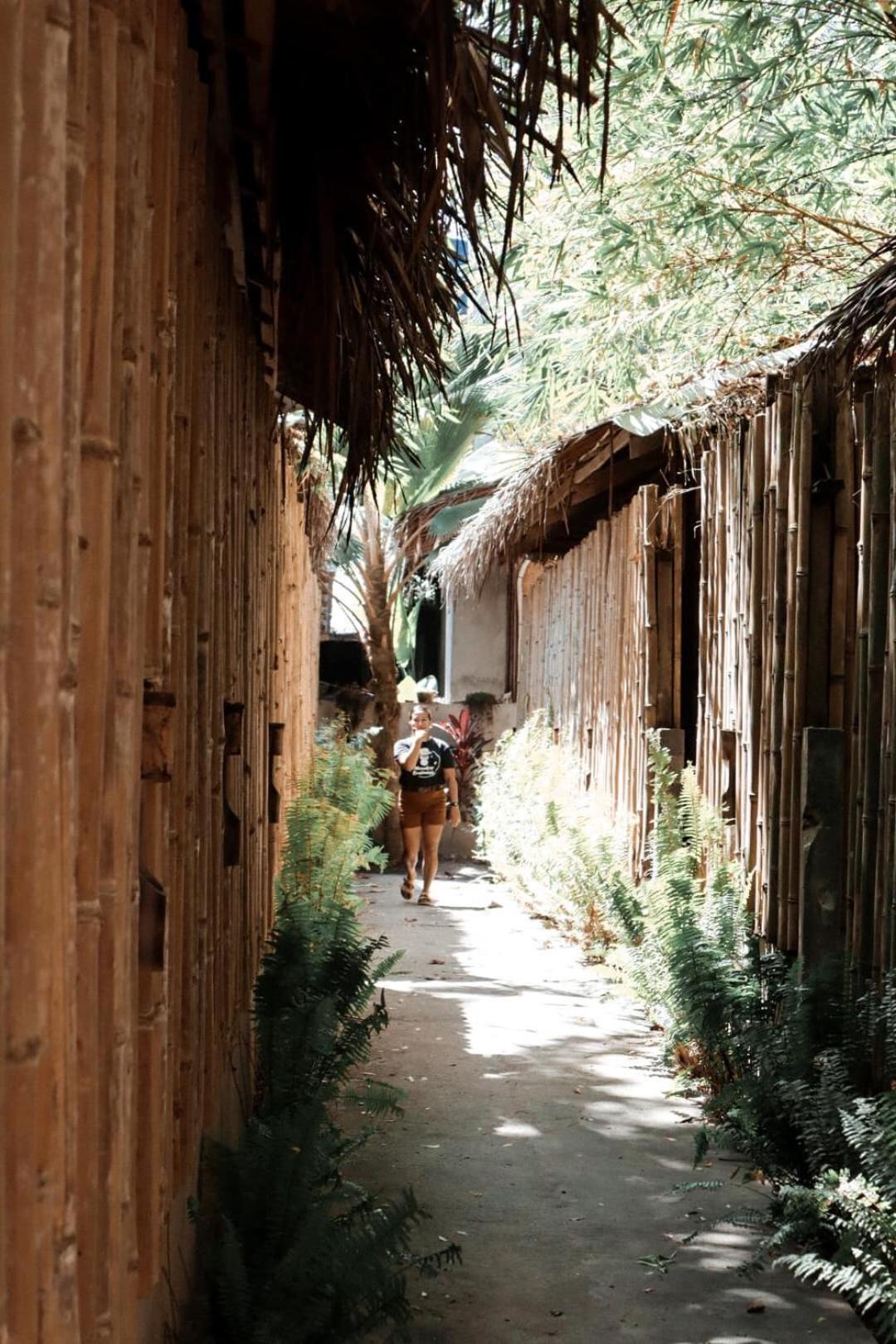 Monkey Business Bungalows Siquijor Exterior foto